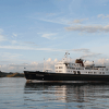 Hebridean